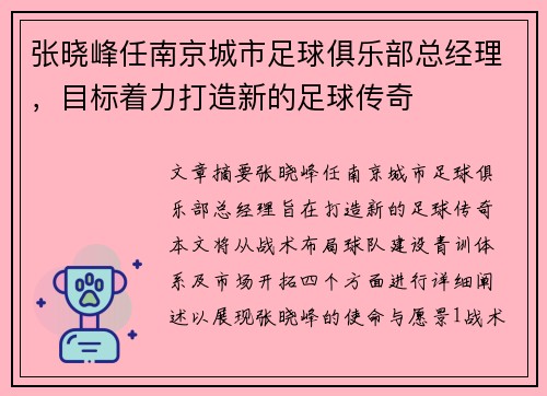 张晓峰任南京城市足球俱乐部总经理，目标着力打造新的足球传奇